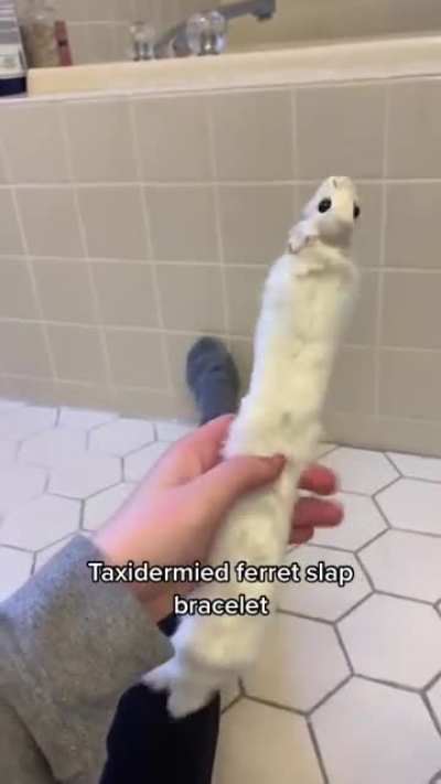 cursed_bracelet