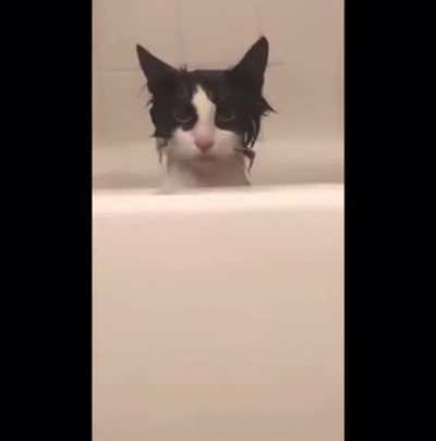 &ldquo;I&rsquo;ve been given a bath against my will&rdquo; *Initiate assassination protocols*