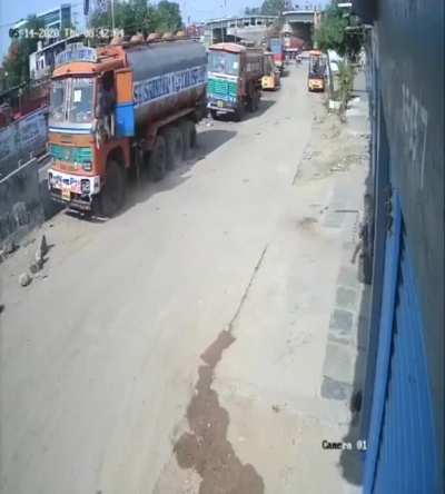 Dogs corner leopard after it charges at truck driver in Hyderabad