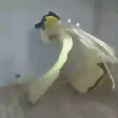 😳