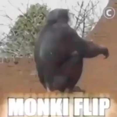 Monki king
