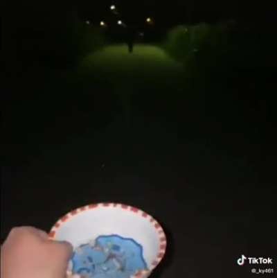 From tiktok