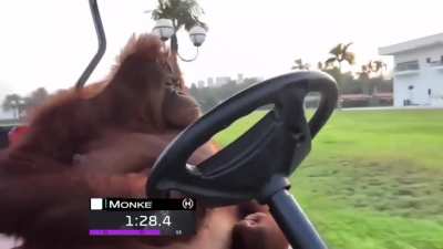 Monke you are the man, you are the world champion,