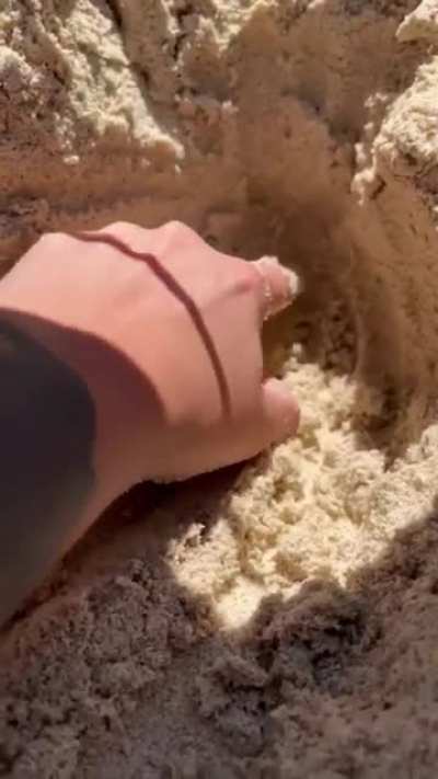 Maybe maybe maybe