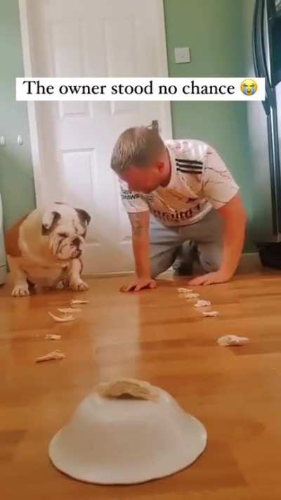 The dog didn&rsquo;t take any mercy
