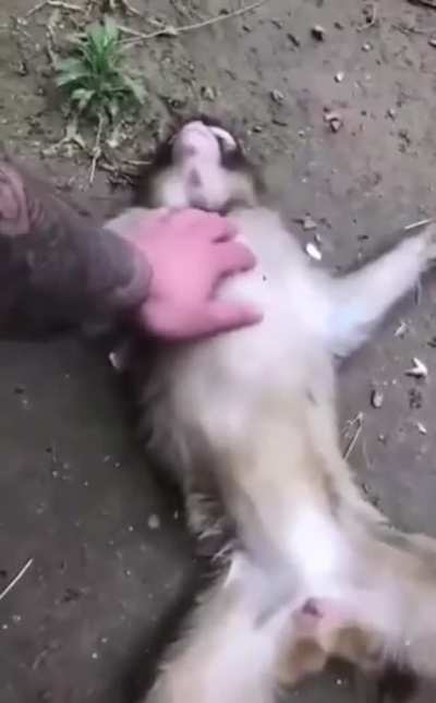 Luckily there was a trained professional