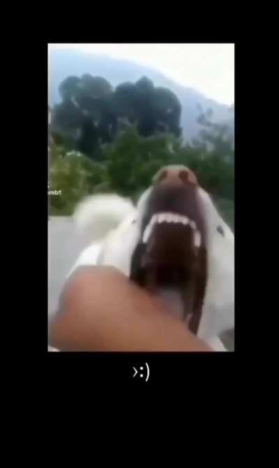 &Eacute; amigo ou n&atilde;o?