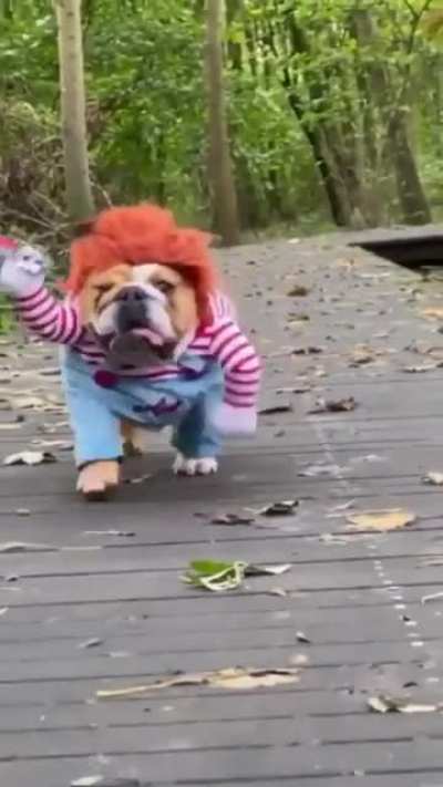 Run!