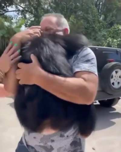This chimp was born with broken ribs, had pneumonia and was abandoned by his own mother. This couple raised him and showed him love. This is how he reacts whenever he sees them now!
