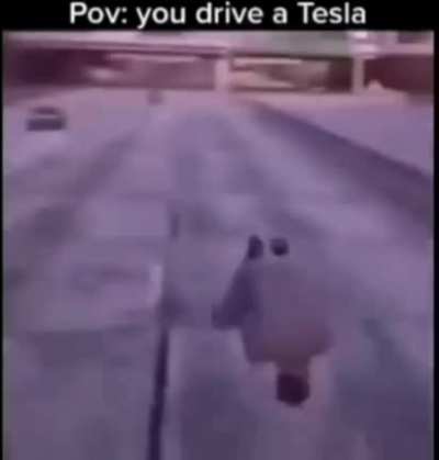 teslas be like: