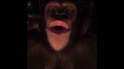 Cuando orson prende directo
