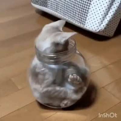 A bed made of glass