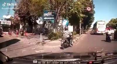 Kangen sama pohon...