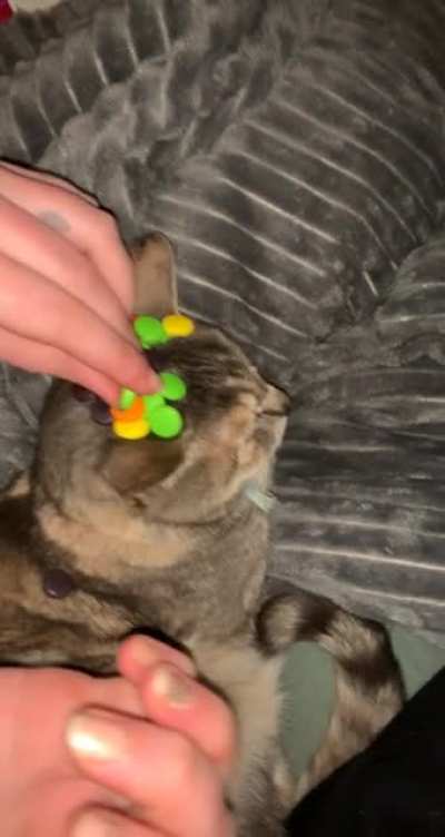 Pinot wasn&rsquo;t having it