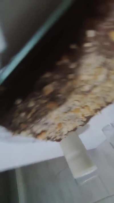 biskuvi pastasi ohmis sapursupur