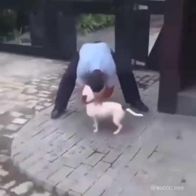 BeelcitosMemes - Video #3840
