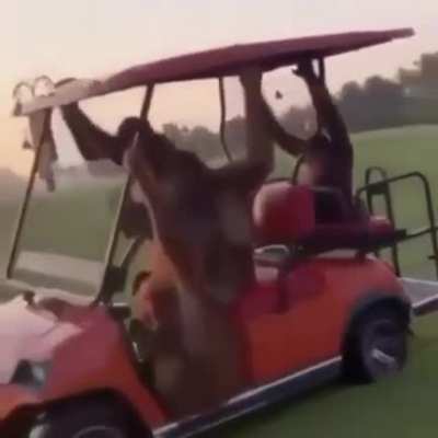 🚗