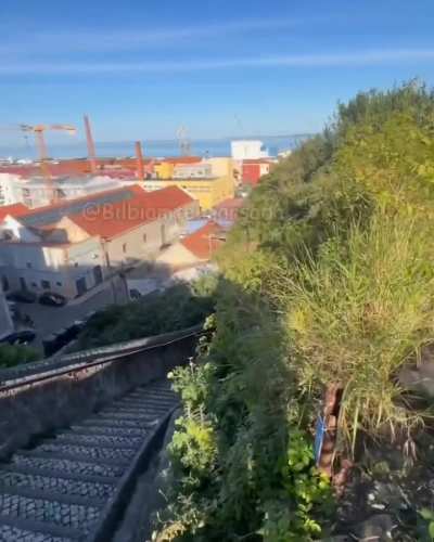 A chegarem em for&ccedil;a 