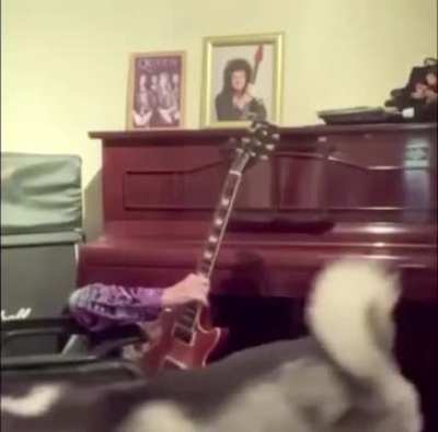 Guitar man falls off chair. Dog steals the show.