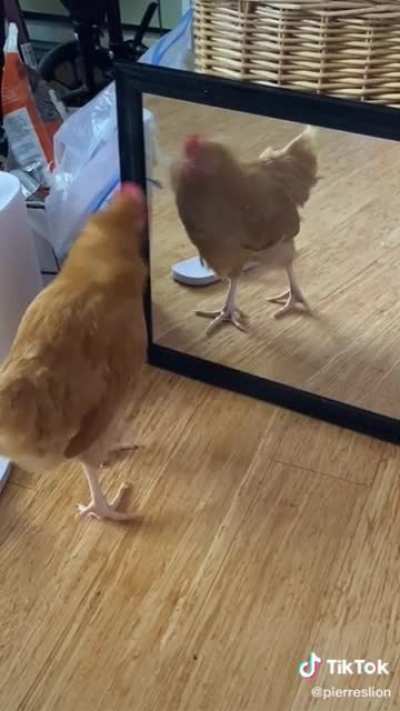When you lose a fight against yourself