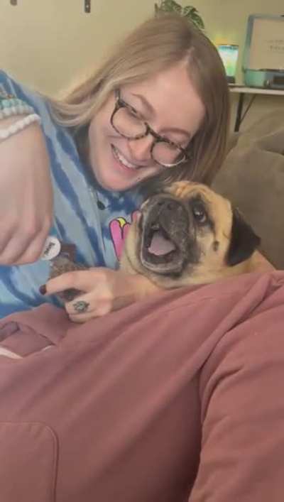 Cutting the dogs nails