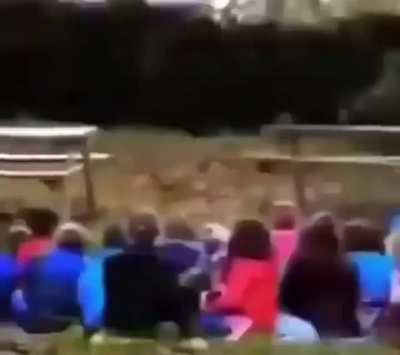 ❕