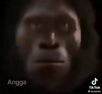 Temazo
