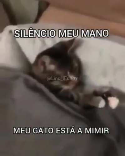 Algu&eacute;m sabe o nome dessa m&uacute;sica? Ela e incr&iacute;vel