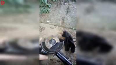 Efficient use of grinder