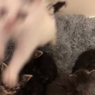 the sound of regret
