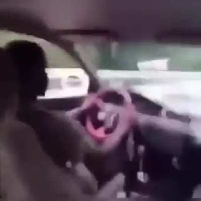 The firt ride with satsuma be like