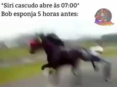 cal&ccedil;a quadrada