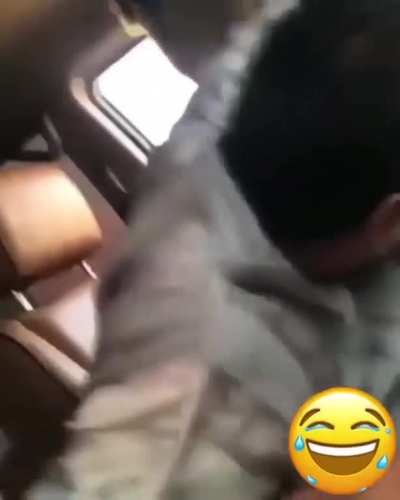 🐪
