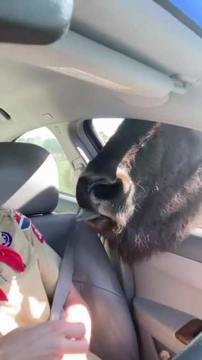 &ldquo;What about me?!&rdquo;