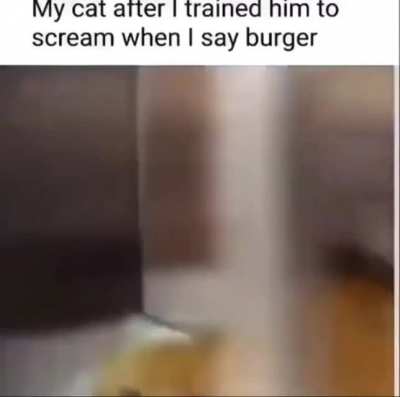 🍔