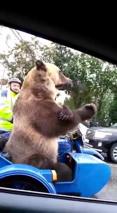 Crazy Russian Life