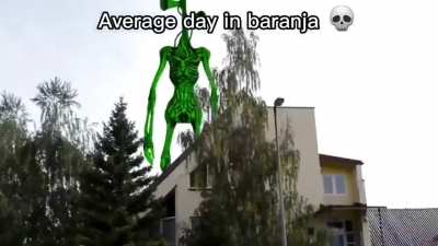 Baranja 💀