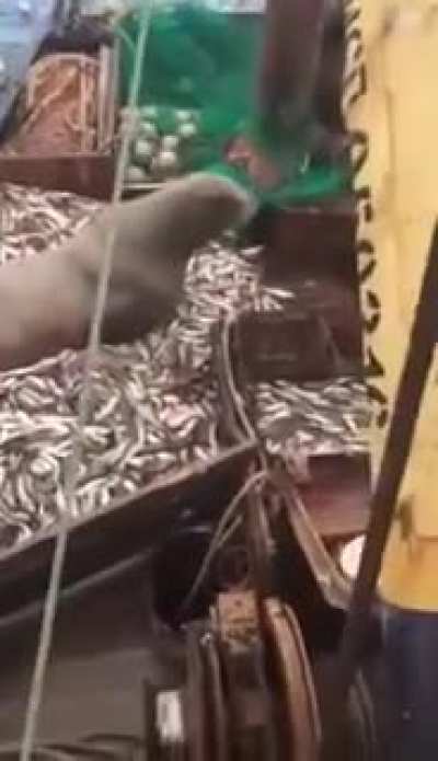 Wait for it