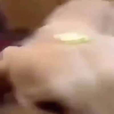 A&AElig;E