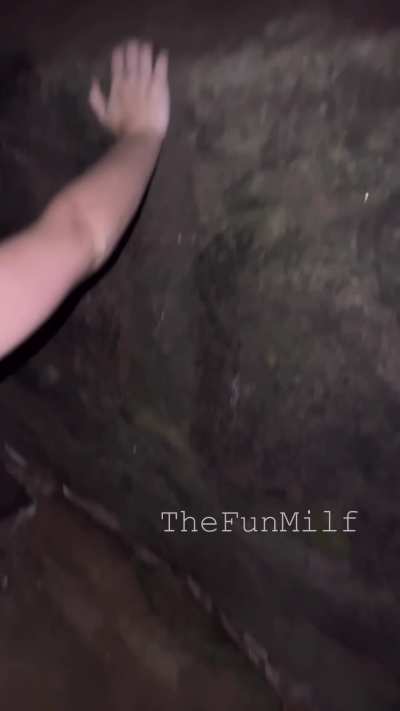 Getting fucked in front of the bridge [GIF]