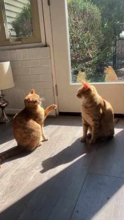 I don&rsquo;t understand them