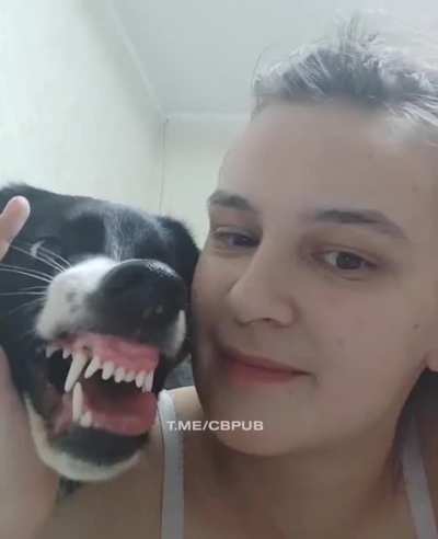 Имбецил