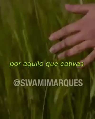 Boa noite