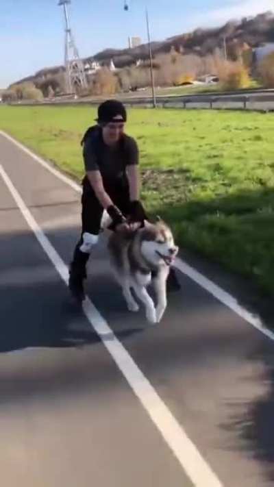 Roller-pup 🥺