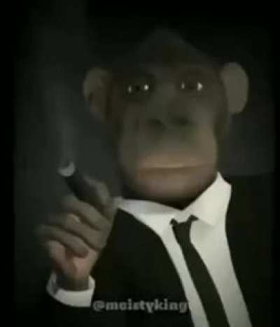 Gotcha fools