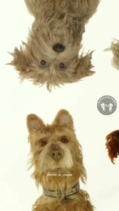🐶