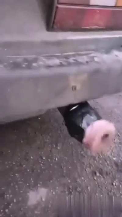 Don&rsquo;t do it
