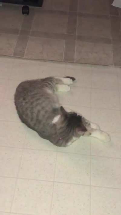 flopperoni n cheese