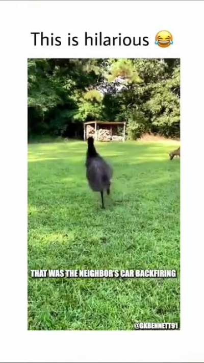 They&rsquo;re coming for the eggs!!