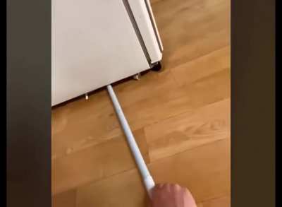 Нападение крысакана на человека